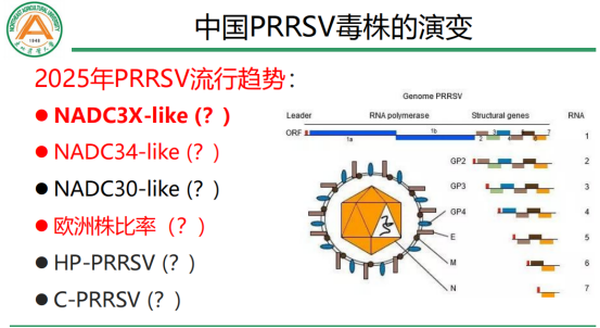 1767147506139349.png image.png